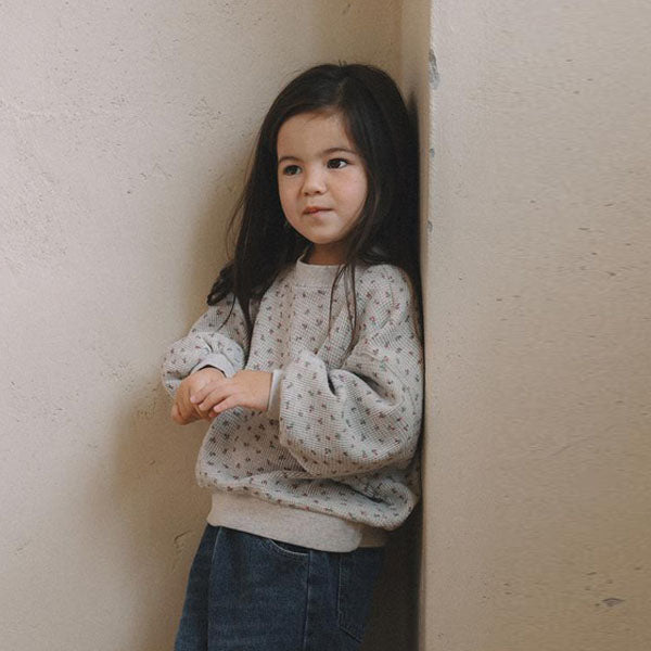 Print Waffle Sweatshirt [melmel]（2026AW） 2