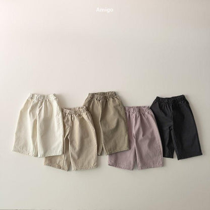 Basic Twill Pants [amigo]（2026AW） 2
