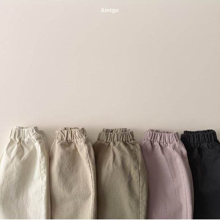 Basic Twill Pants [amigo]（2026AW） 9