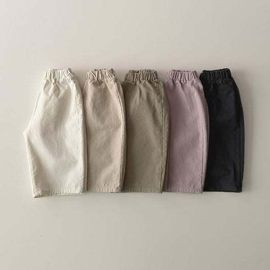 Basic Twill Pants [amigo]（2026AW） 1