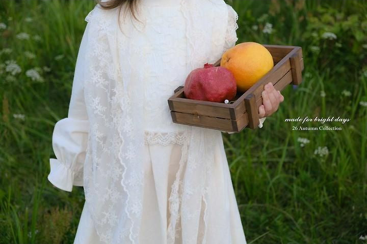 Cream Dress [anggo]（2026AW） 16