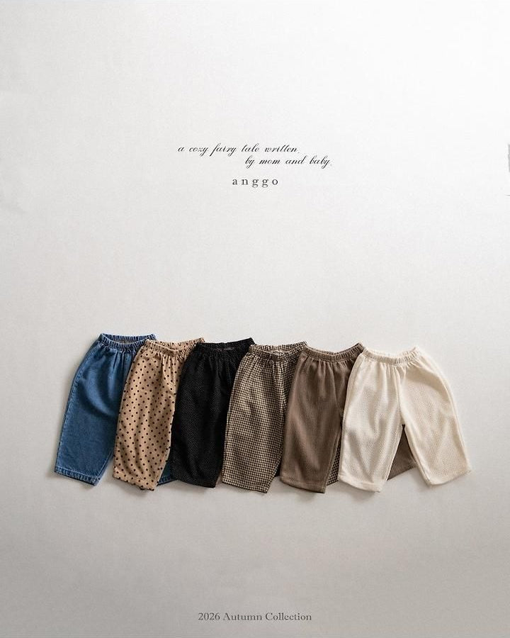 Pie Pants - Big Dot Denim [anggo]（2026AW） 9