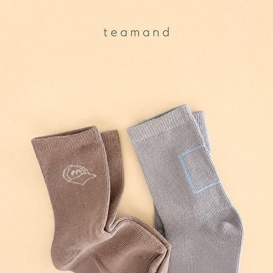 Drawing Set [teamand]（2026AW） 2
