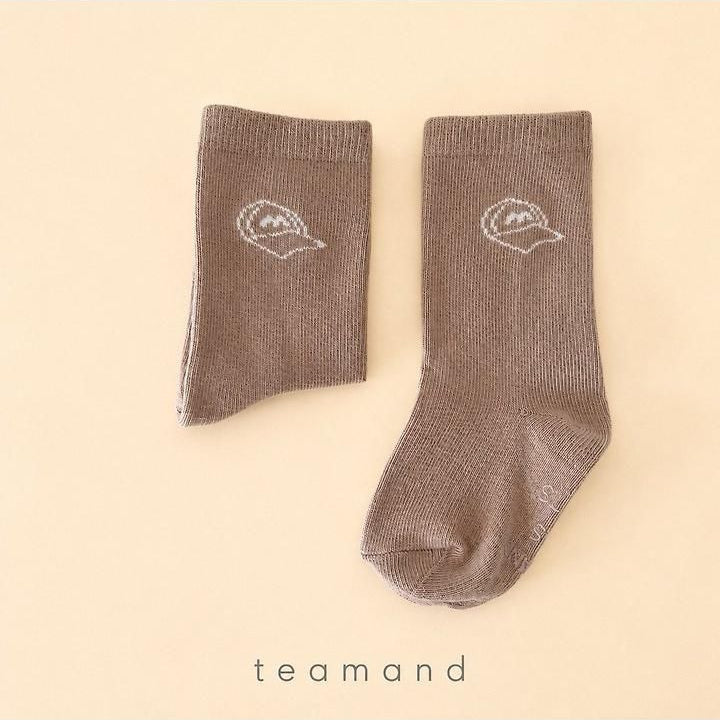 Drawing Set [teamand]（2026AW） 3