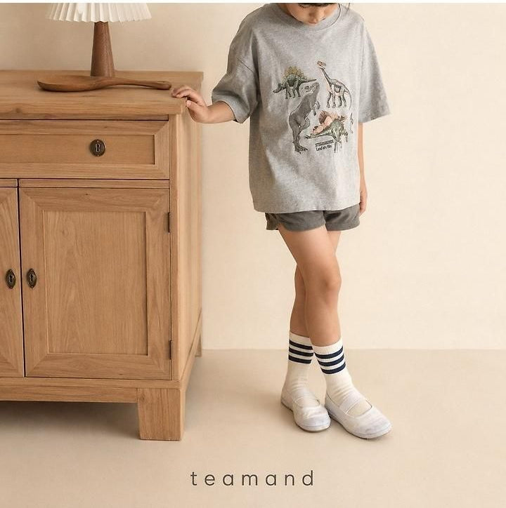 Three-Line Socks Set [teamand]（2026AW） 5