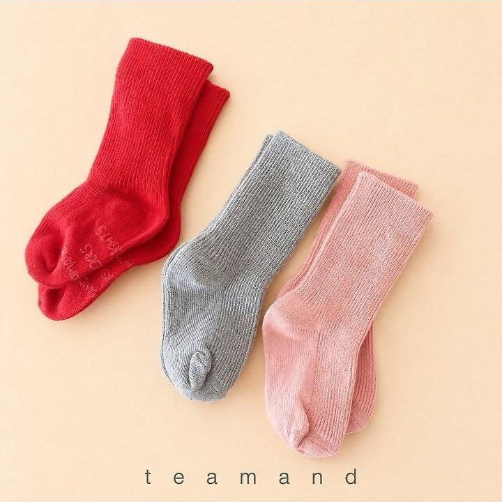 Mix Berry Set [teamand]（2026AW） 3