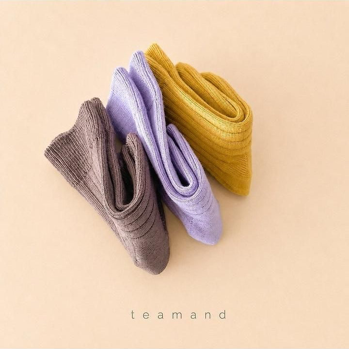Ribbed Socks Mocha Set [teamand]（2026AW） 4