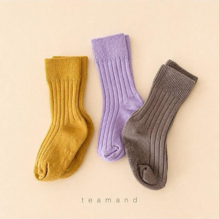 Ribbed Socks Mocha Set [teamand]（2026AW） 8