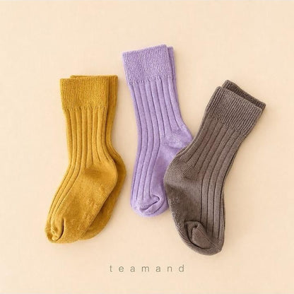 Ribbed Socks Mocha Set [teamand]（2026AW） 8