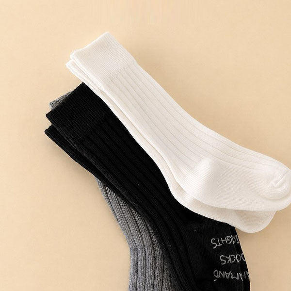 Essential Knee Socks Set [teamand]（2026AW） 1