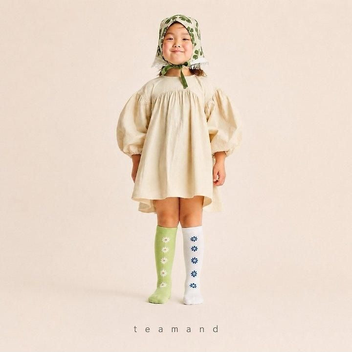 Alice Knee Socks Set [teamand]（2026AW） 2
