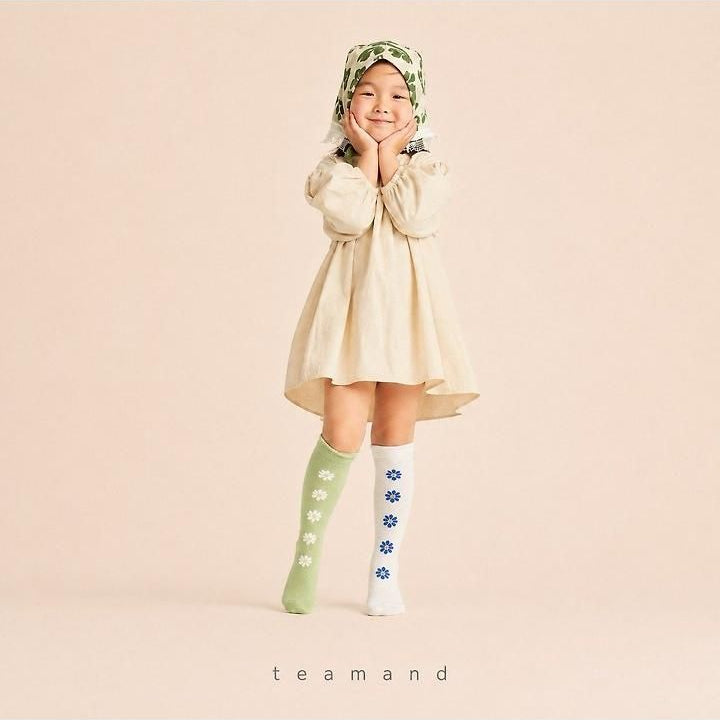 Alice Knee Socks Set [teamand]（2026AW） 3