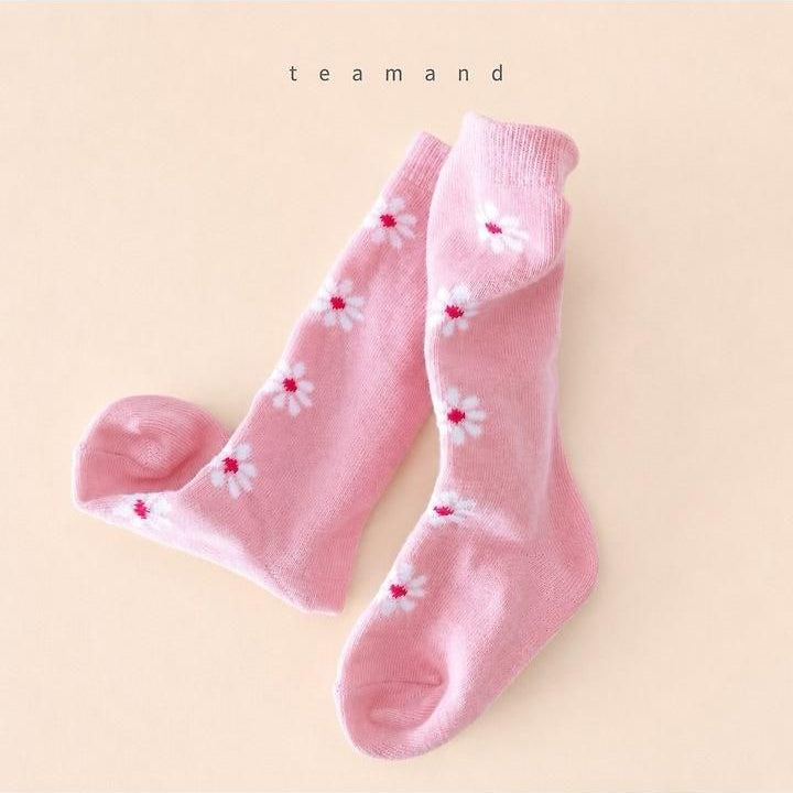 Alice Knee Socks Set [teamand]（2026AW） 4