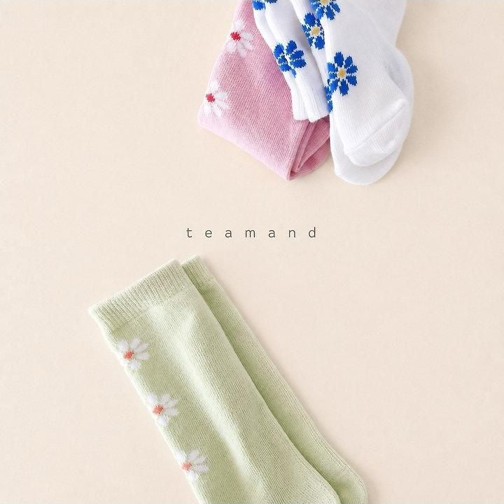 Alice Knee Socks Set [teamand]（2026AW） 6