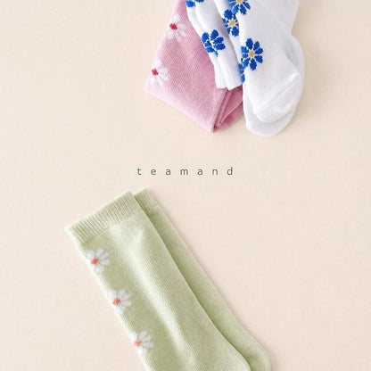 Alice Knee Socks Set [teamand]（2026AW） 6
