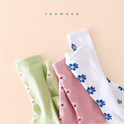 Alice Knee Socks Set [teamand]（2026AW） 7