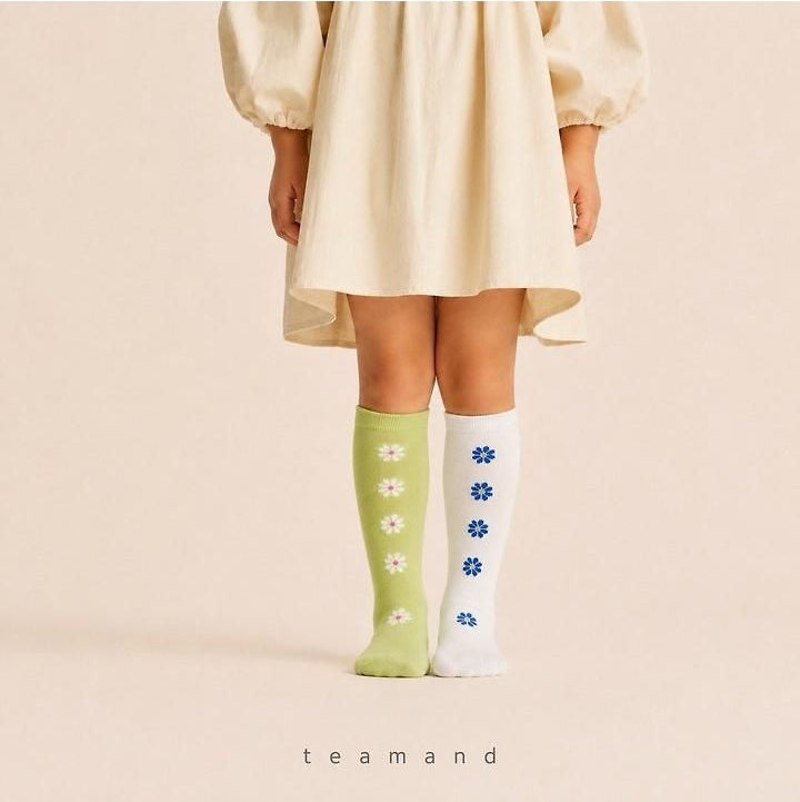 Alice Knee Socks Set [teamand]（2026AW） 9