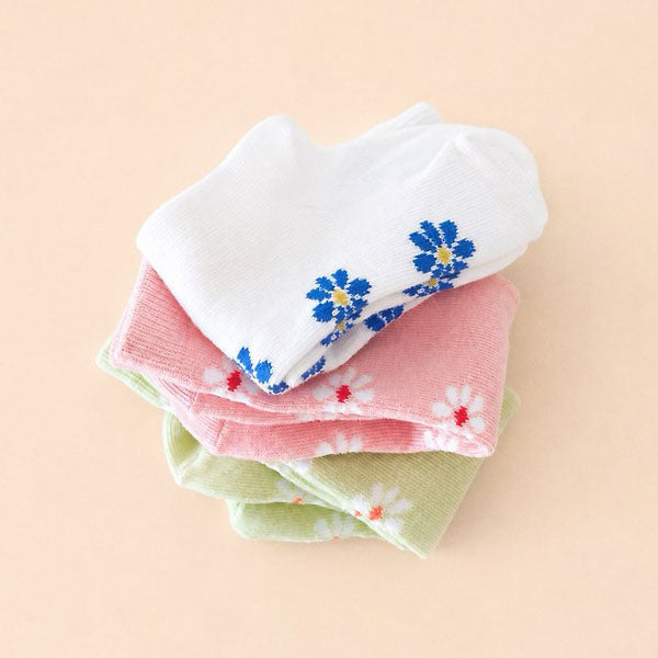 Alice Knee Socks Set [teamand]（2026AW） 1