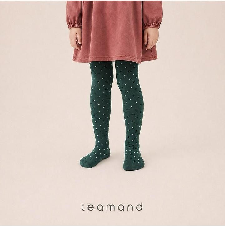 Dot High-Elasticity Stockings [teamand]（2026AW） 3