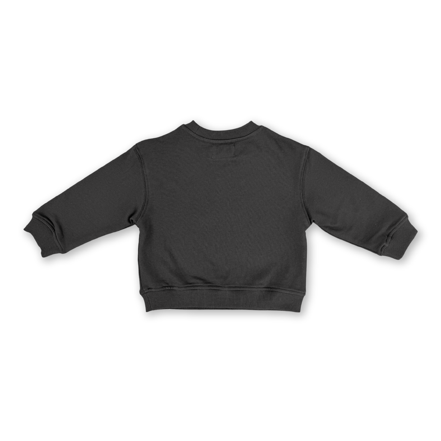 Parrot Fish Jumper - Ash [GROWN](26SS)drop1 2