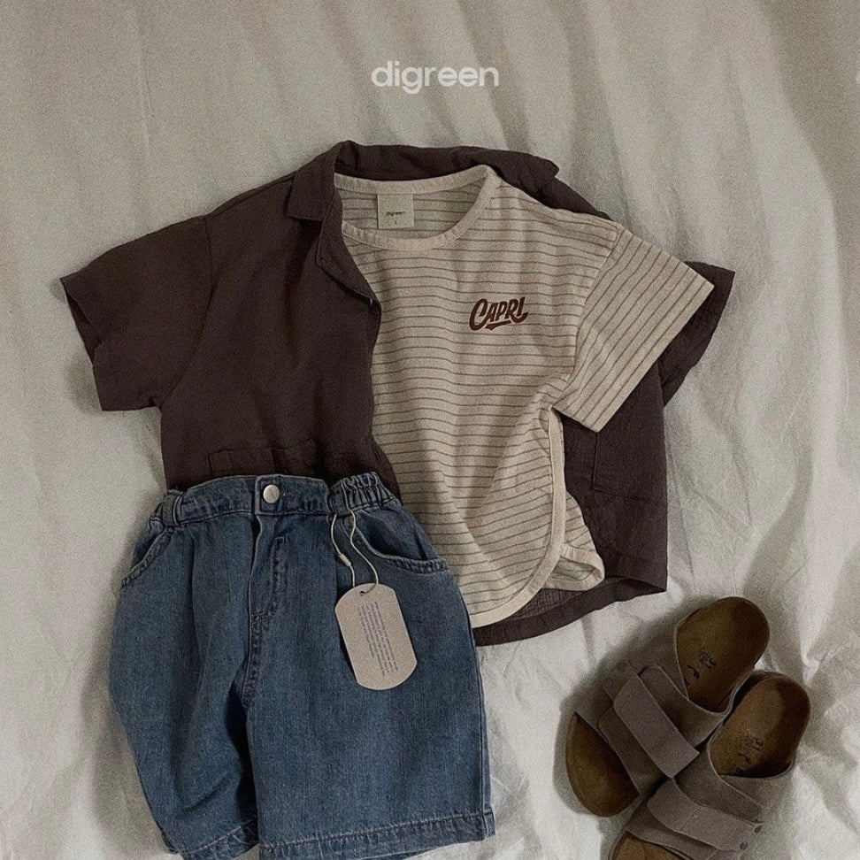 check shirt [digreen]