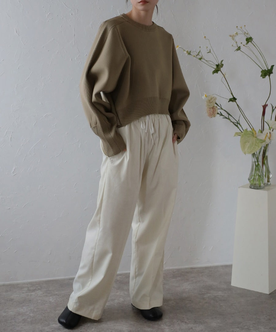 Arm Panel Rib Cropped Double Knit [LADIES] 2