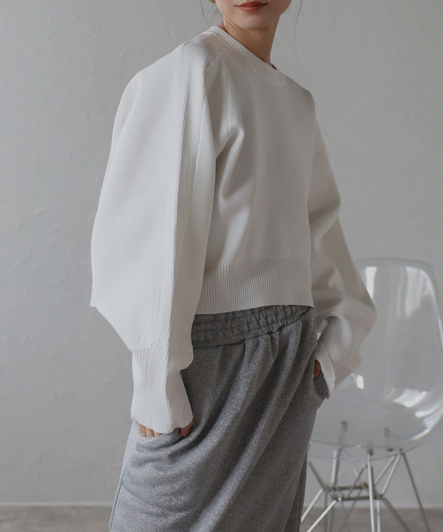 Arm Panel Rib Cropped Double Knit [LADIES] 11