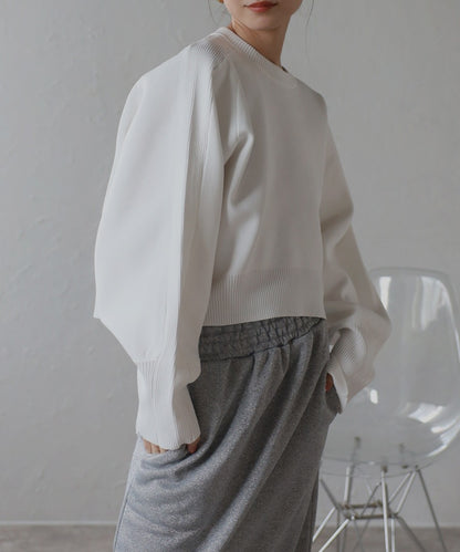 Arm Panel Rib Cropped Double Knit [LADIES] 11