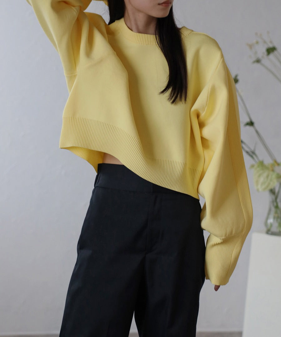 Arm Panel Rib Cropped Double Knit [LADIES] 18