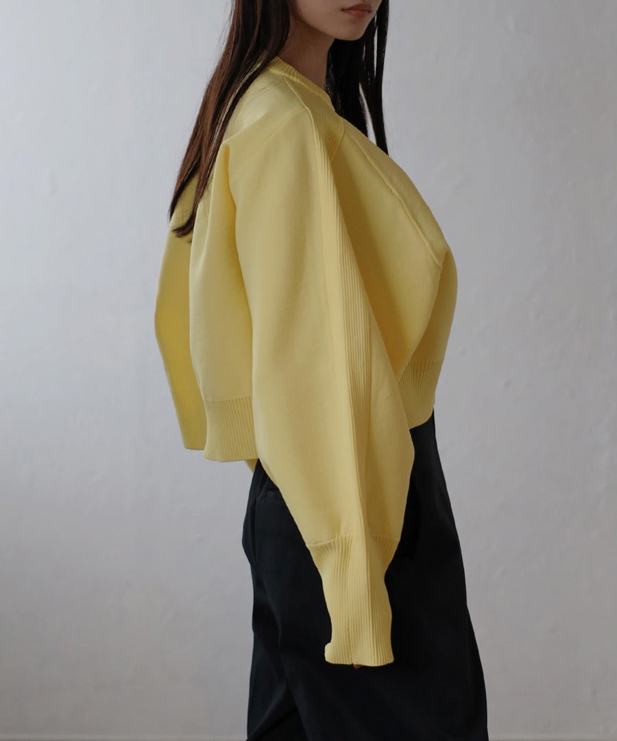 Arm Panel Rib Cropped Double Knit [LADIES] 20
