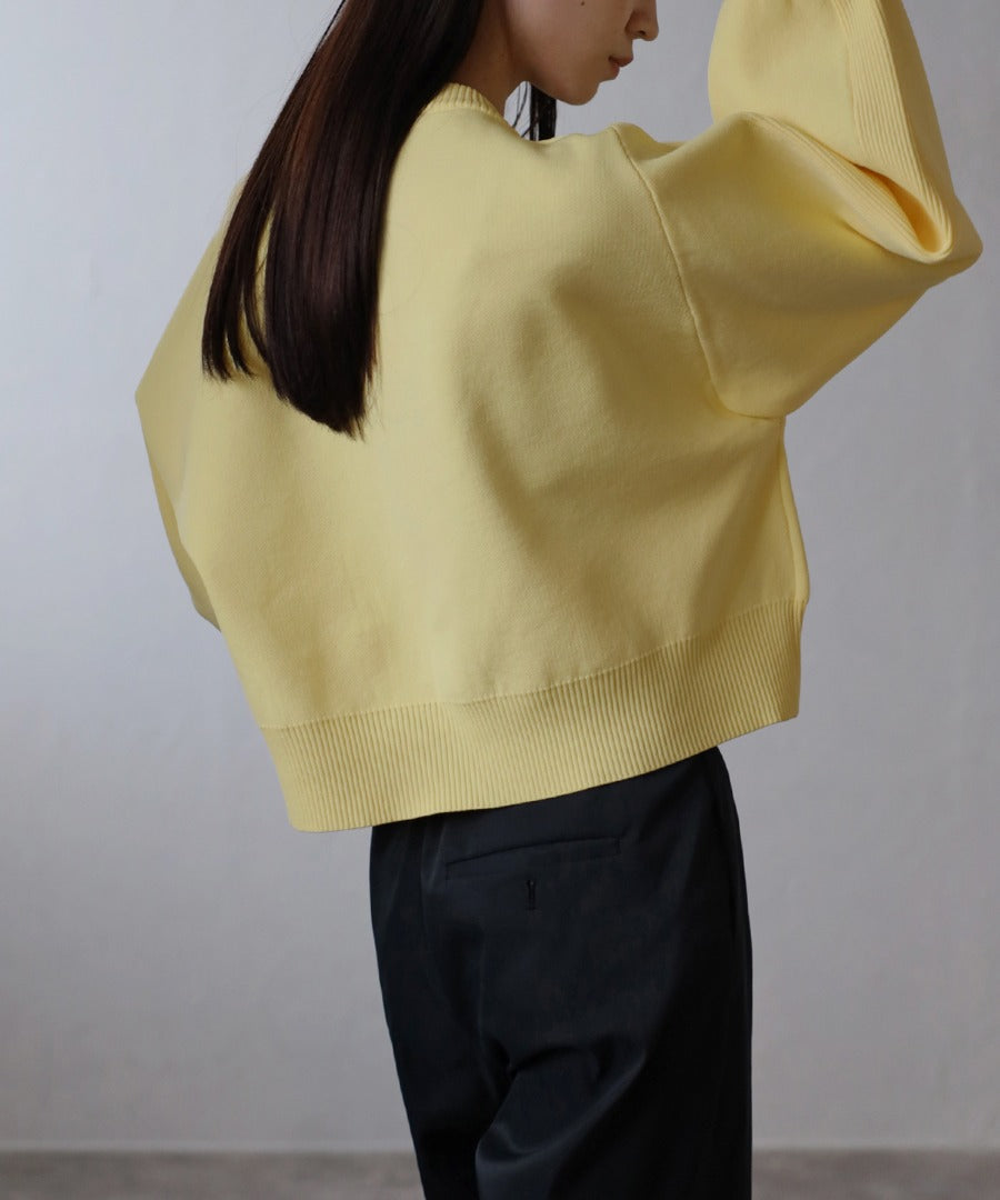 Arm Panel Rib Cropped Double Knit [LADIES] 21